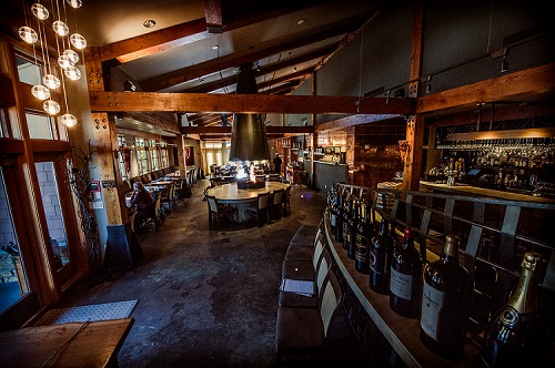 Barking Frog - Visual