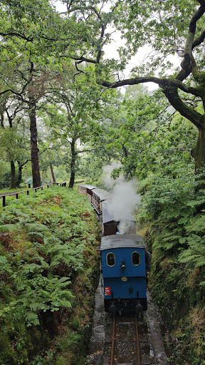 Dolgoch - Visual