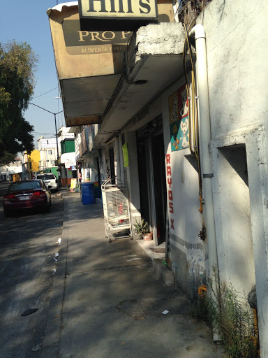 Veterinario