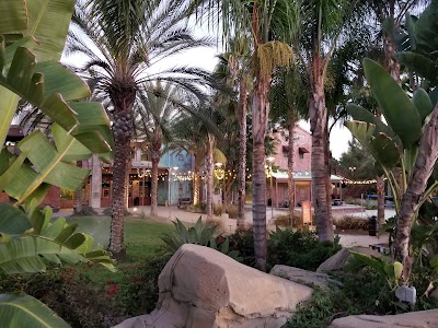Photos of Worship Center at Saddleback Church Lake Forest