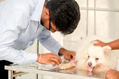 Photos of Dr.Pet