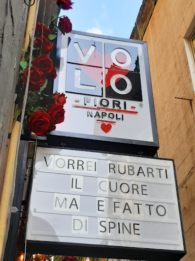 Volo Fiori Gallery - Italy