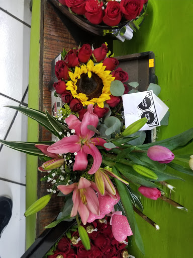 Florería Spaider - Visual