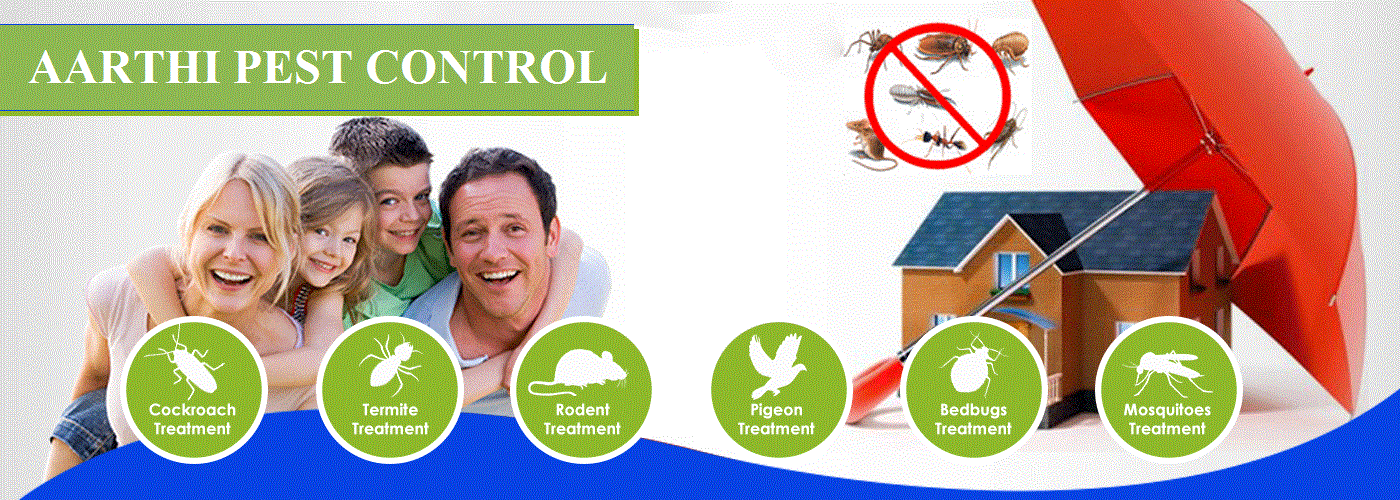 Best Pest Control Companies In Chennai Pest Control Pedia