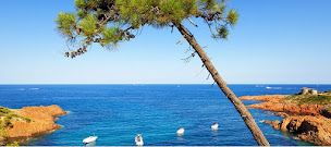 Photo n°3 de LAROCA IMMOBILIER - Agence Immobilière - Estate Agent à Laroque-des-Albères (Agence immobilière)