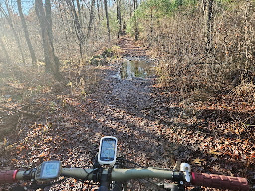 Quisset Wildlife Management Area - Thumbnail
