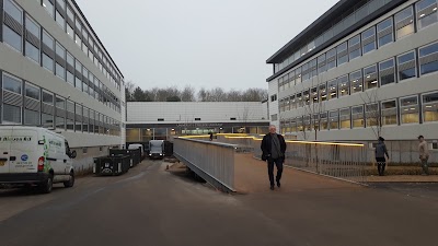 university