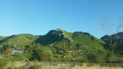 Avansa Local - Visual