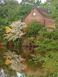 Photo n°8 de Camping Le Cantalou 2 étoiles tourisme Bar Carpodrome à Cassaniouze (Terrain de camping)