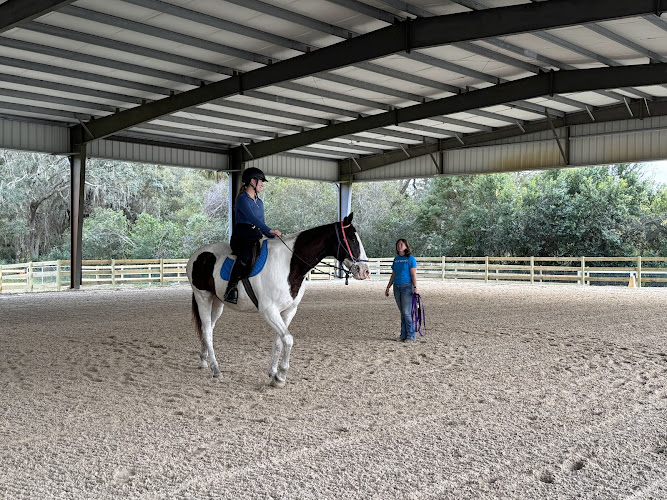 WildHeart Riding School