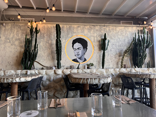 Frida Sol