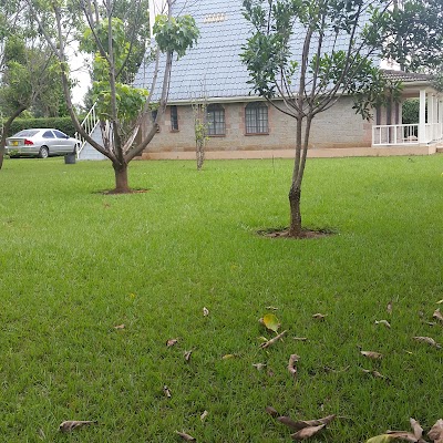 Photos of Kijani Camp