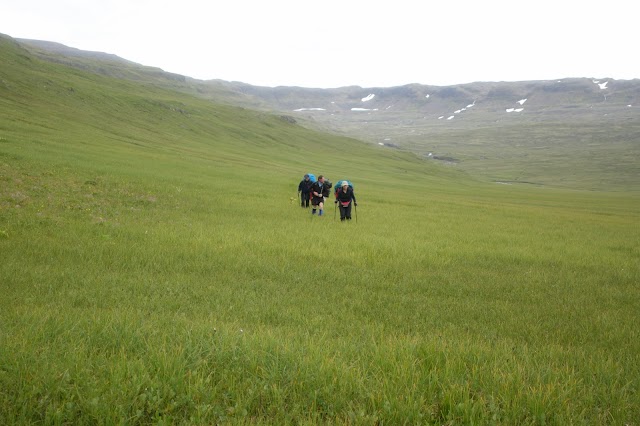 Hornstrandir Nature Reserve