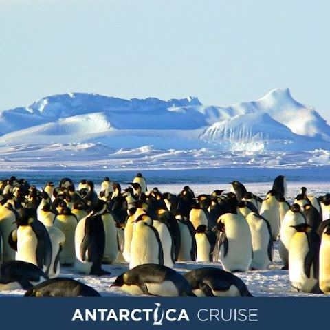 Antarctica Cruise by null