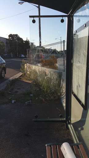 Moore Park Busway After Alison Rd - Thumbnail