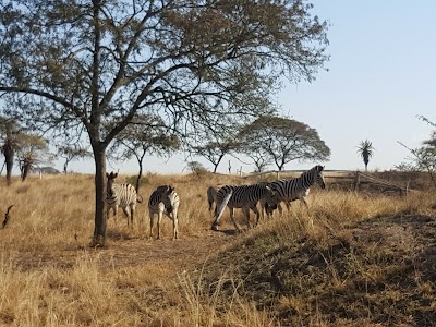 Photos of Aloe Wildlife Estate MTB