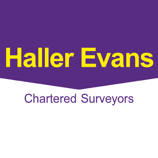 Haller Evans - Visual