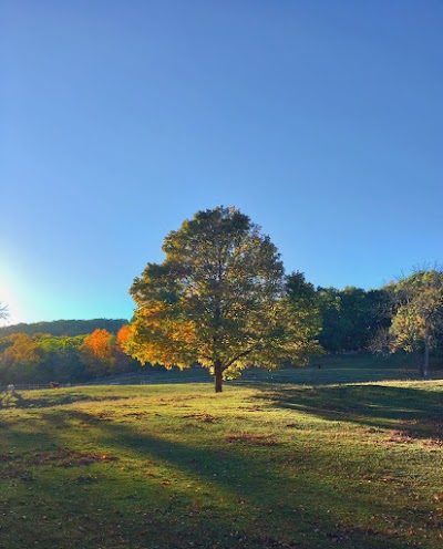 Photos of Omega Institute for Holistic Studies