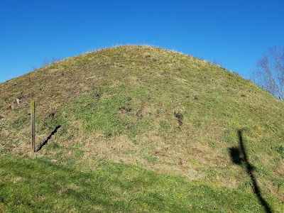 Hartman Mound