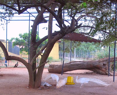 Photos of Birds Park/ Birds Reaserch Centre. Hambantota