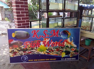 Photos of K.S.M Fish World