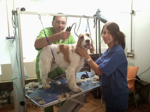 Centro Veterinario Campoamor