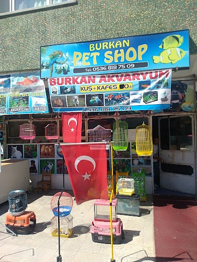 Burkan akvaryum