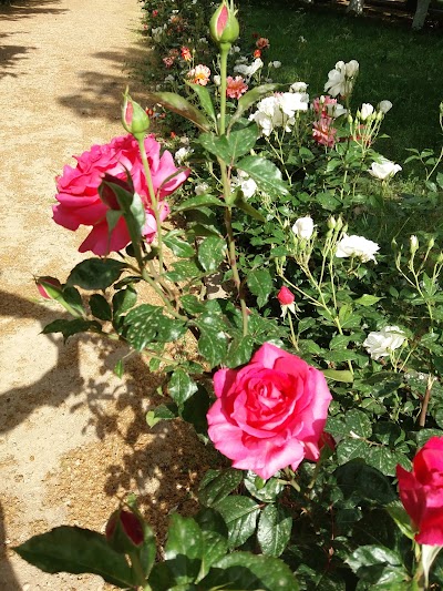 Photos of Lalla Amina Garden