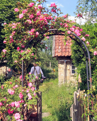 GRÜNWERKSTÄTTEN Garten-Café - Thumbnail