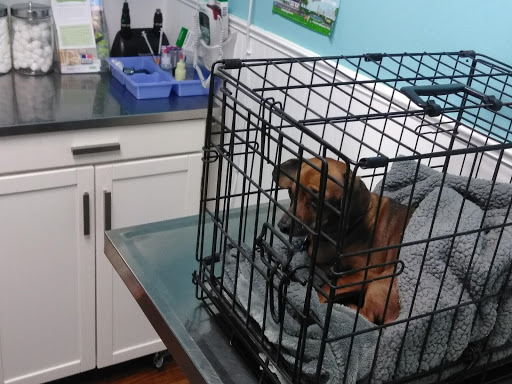 Whiteland Animal Clinic - Thumbnail