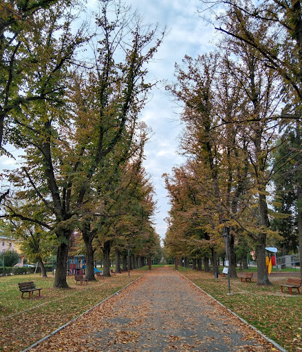 Parco Carrobio - Visual