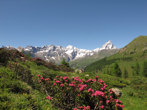 Sirdar Montagne et Aventure - Thumbnail