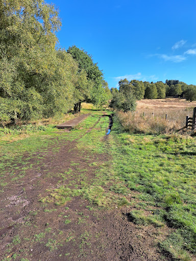 Hednesford Hills Local Nature Reserve Gallery - United Kingdom