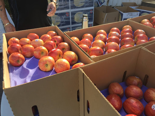 Nevada County Food Bank - Thumbnail