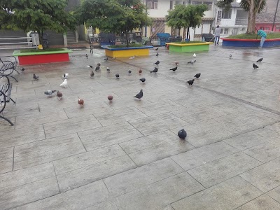 Photos of El Aguila. Central Park