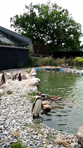 Åbningstider for Guldborgsund Zoo & Botanisk Have