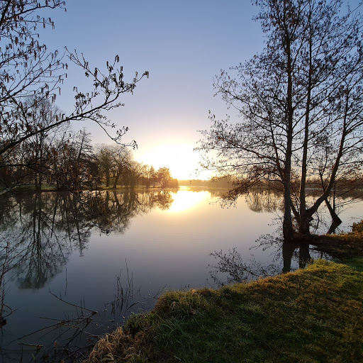 Photo de Plan d'eau du chêne à Saint-Julien-de-Concelles (44450)