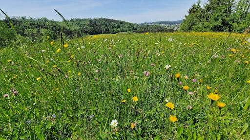 Kraftplatz Bardlberg - Thumbnail