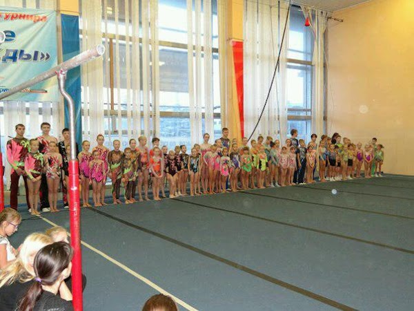 Дворец спорта набережные. Дворец спорта Архангельск зал. Зал Феникс Архангельск. Свой зал Архангельск. ТЦ Доброход Архангельск.