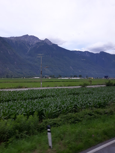 Samolaco - Visual