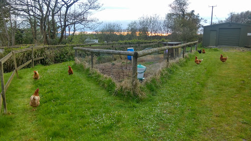 Tir-Cethin Farm Gallery - United Kingdom