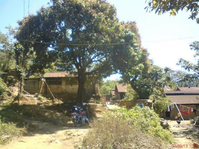 Photos of Fca. Sta. Margarira
