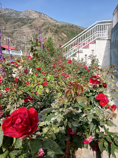 Gallery image 185