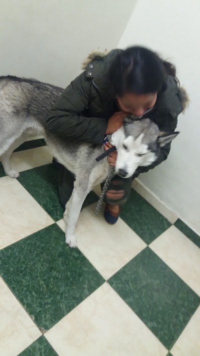 Photos of Hospital Veterinario Reynoso