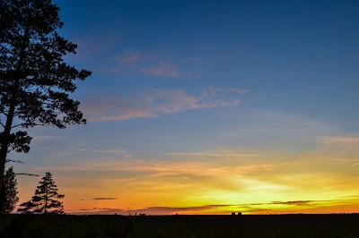 Photos of P&auml;&auml;sk&uuml;la bog trail
