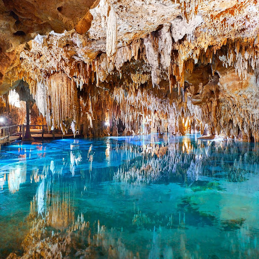 Mayan Magic Trip Downtown