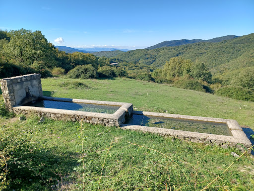 Primo Fontanile