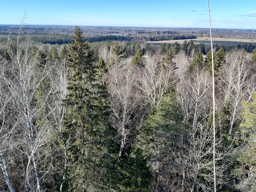 matkaraja