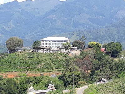 Photos of Oodoowerre Tea Factory