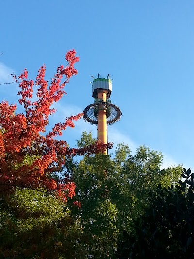 Drop Tower